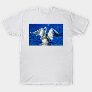 Artistic Swan T-Shirt